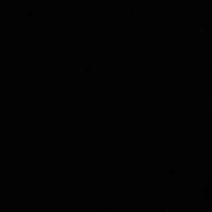 Meet your Posher, Bijon